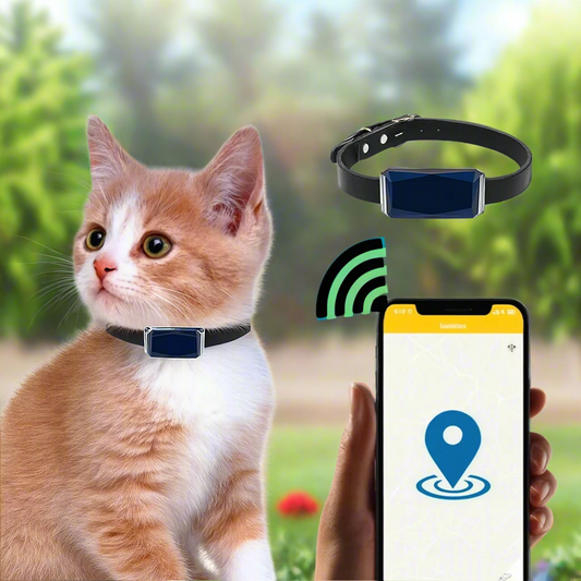 Collar de cuero para mascotas con rastreador GPS en tiempo real