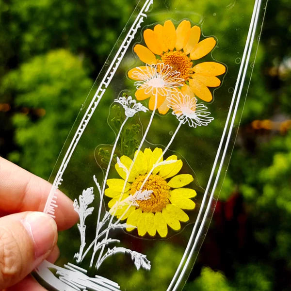 Transparent DIY Stickers (20+20 Free)