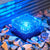 Blue Light