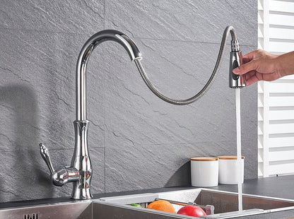 Grifo de cocina de acero cepillado con rociador extraíble