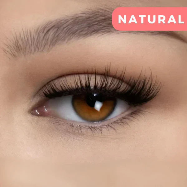 LashLock Magnetic - Flawless Lashes in 60 Seconds (Even If You've Never Worn Falsies)