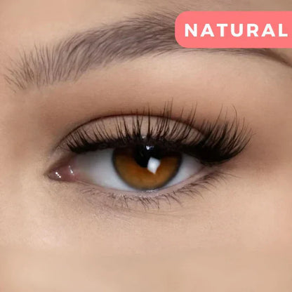 LashLock Magnetic - Flawless Lashes in 60 Seconds (Even If You've Never Worn Falsies)