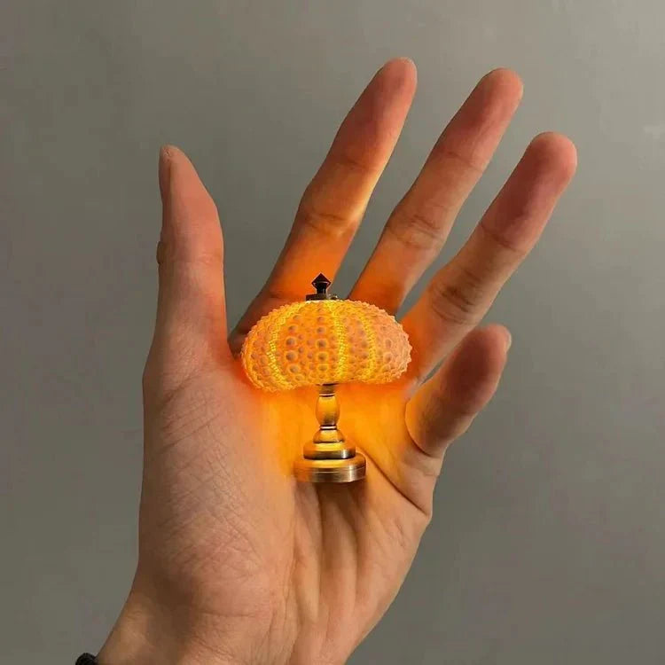 Table Lamp Mini Sea Urchin Shell Light