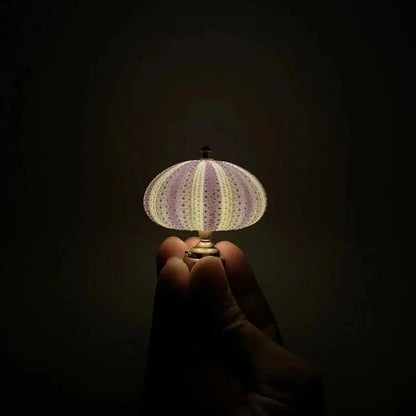 Table Lamp Mini Sea Urchin Shell Light