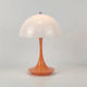 Orange/White
