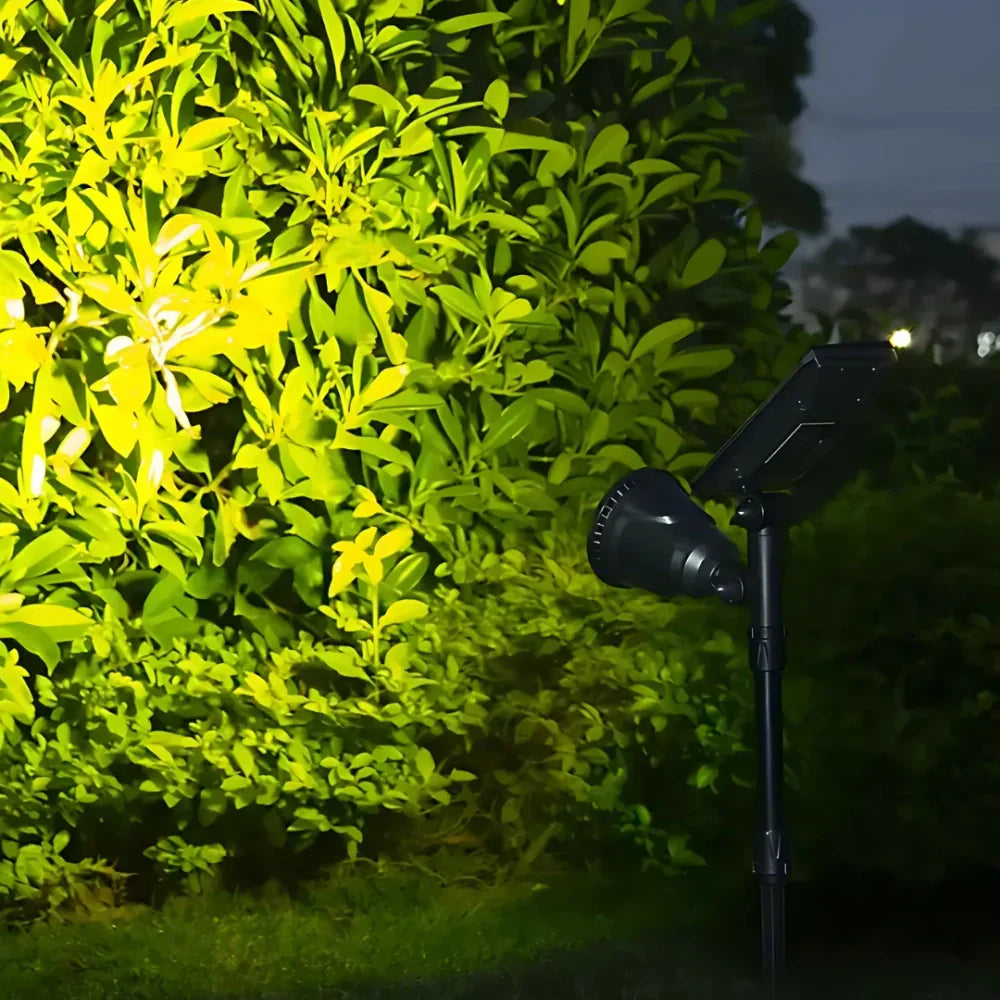 Solar Garden Light with Waterproof Spike Mount