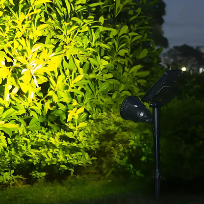 Solar Garden Light with Waterproof Spike Mount