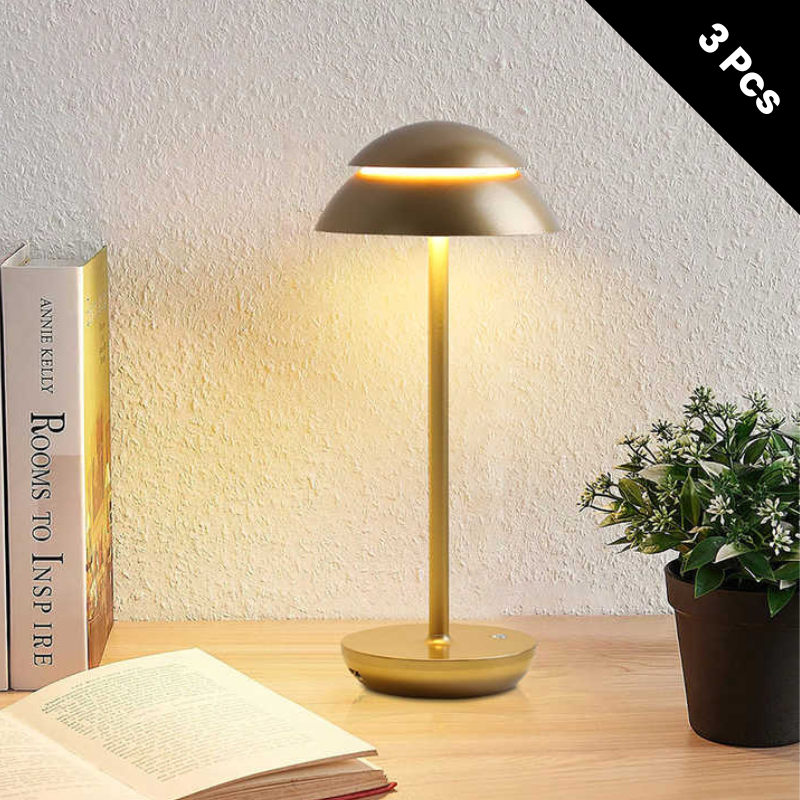 Table Lamp with Touch Control and LED Light