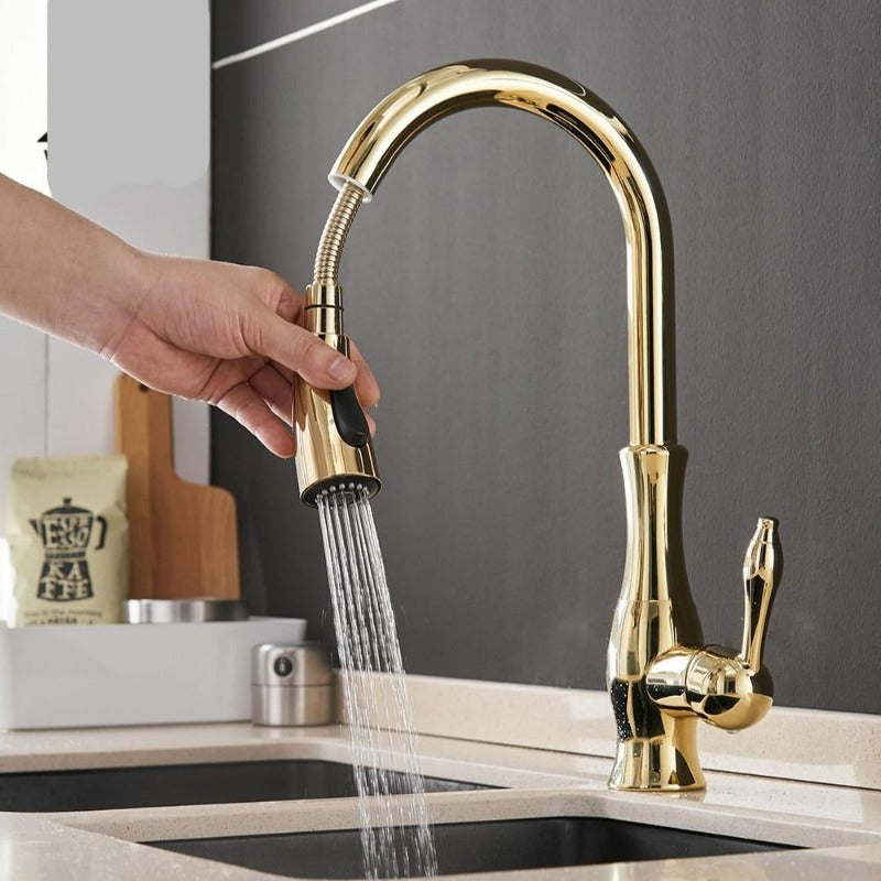 Grifo de cocina de acero cepillado con rociador extraíble