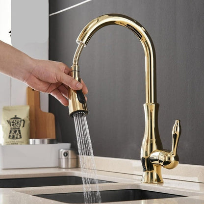 Grifo de cocina de acero cepillado con rociador extraíble