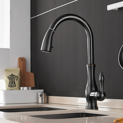 Grifo de cocina de acero cepillado con rociador extraíble