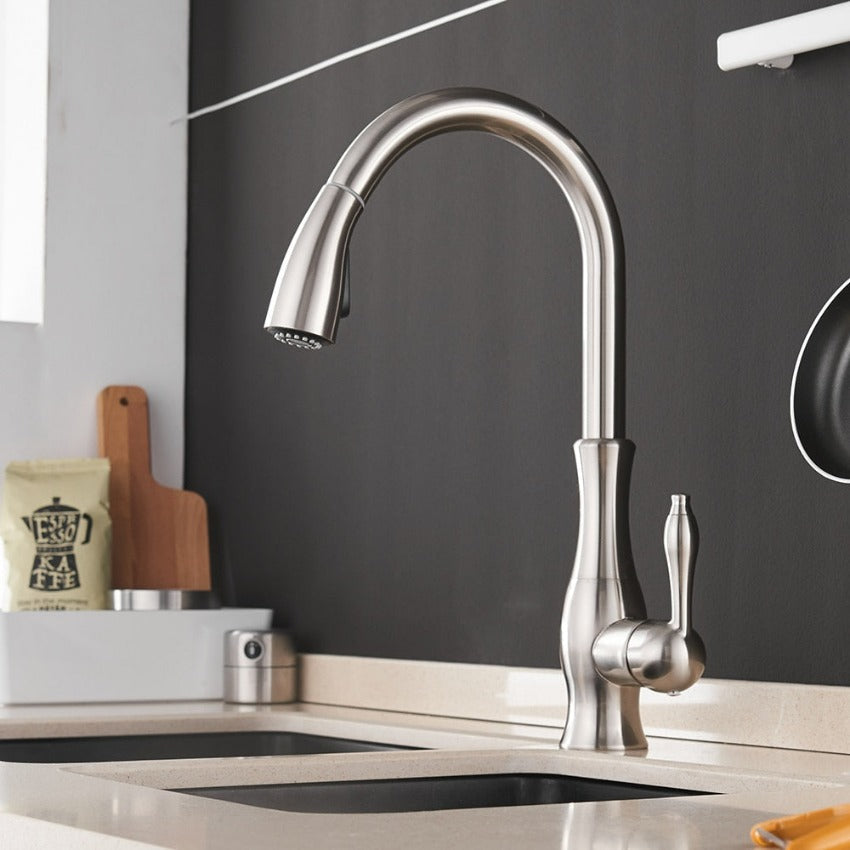 Grifo de cocina de acero cepillado con rociador extraíble