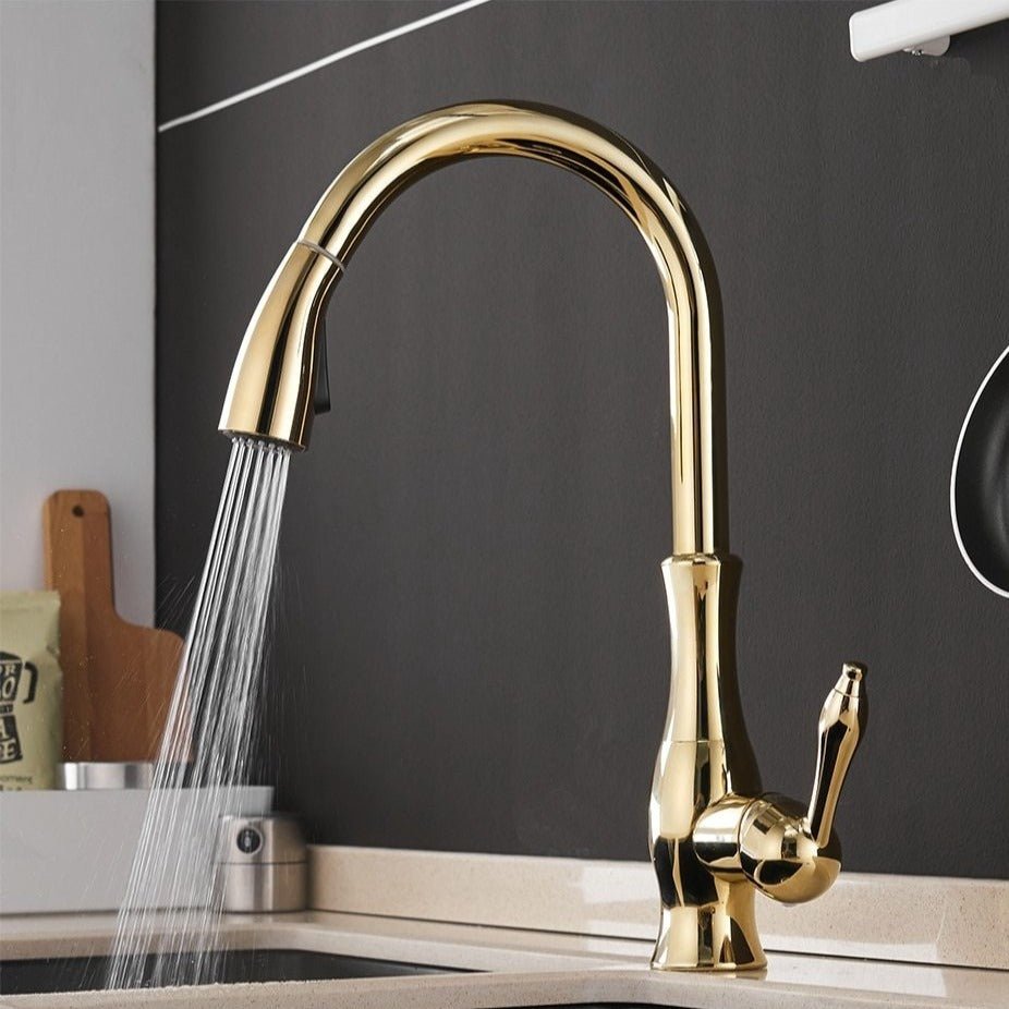 Grifo de cocina de acero cepillado con rociador extraíble
